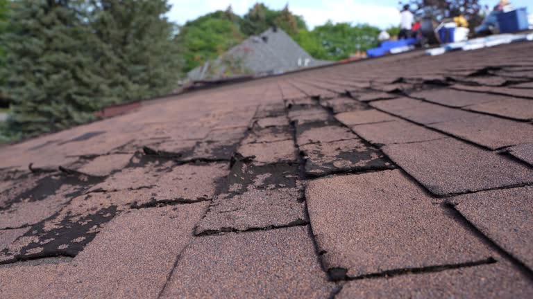Steel Roofing in Quinnipiac University, CT