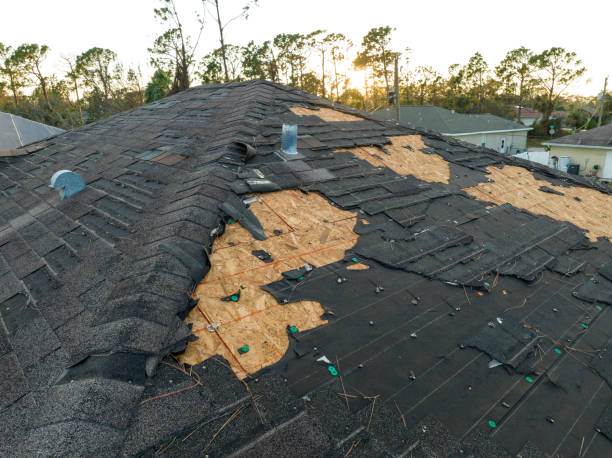 Best Roof Insulation Installation  in Quinnipiac University, CT
